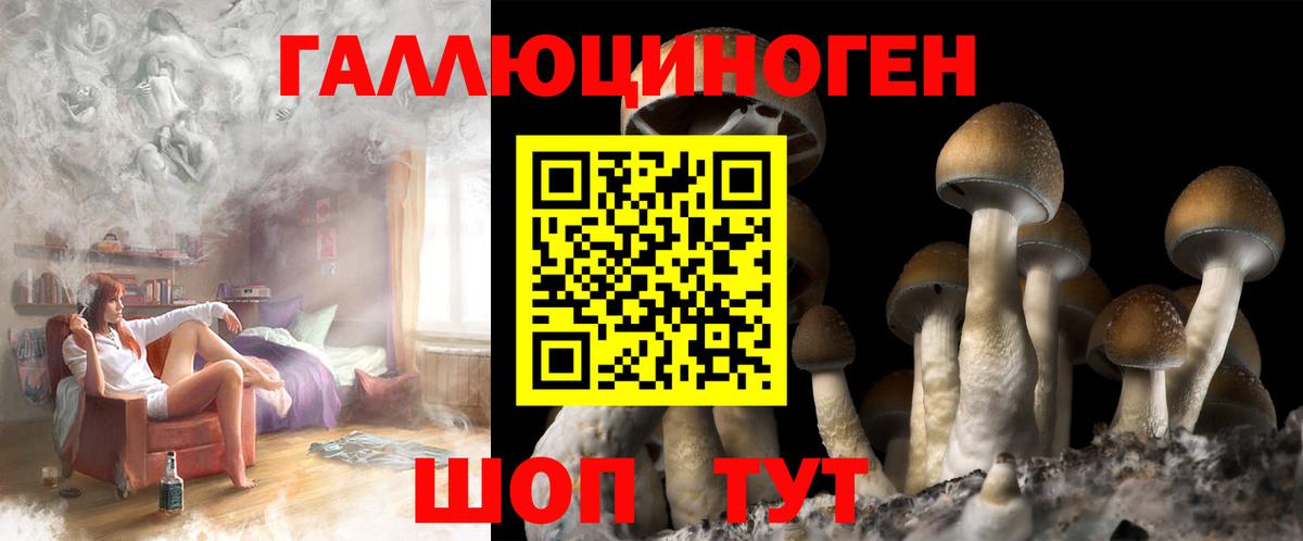 Тейково  даркнет сайт  Вход с VPN  Псилоцибиновые грибы Cubensis 
